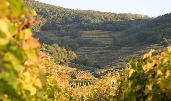 Hotelf1 Strasbourg Sud 伊尔基希-格拉芬斯塔登